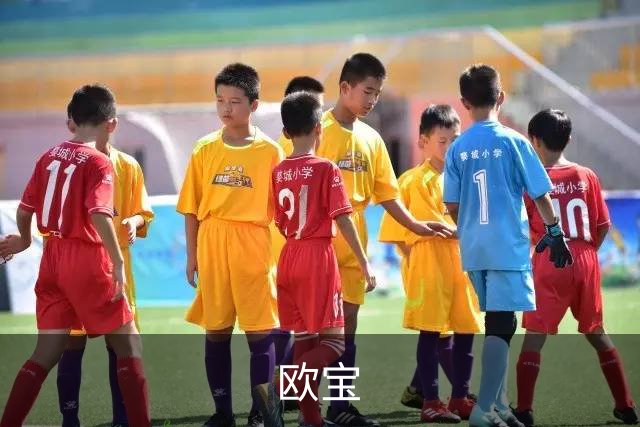 欧宝公司介绍图片